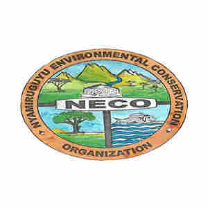 FasterCapital supports NECO’s operational milestone: trainers hired, curricula secured