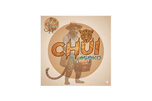 CHUI eSOKO