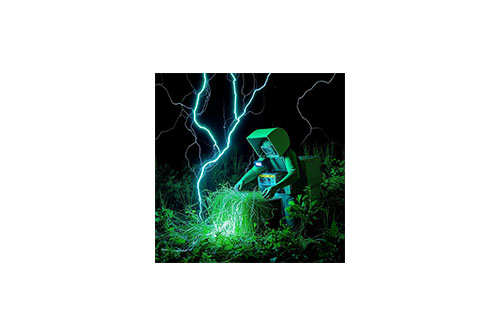 Global Renewable Energy Consultancy