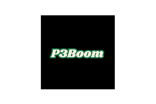 Papa Boom S.L